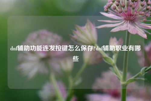 dnf辅助功能连发按键怎么保存?dnf辅助职业有哪些