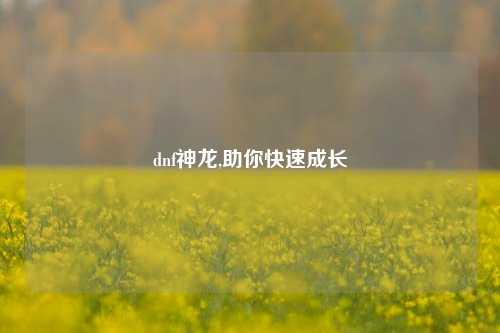 dnf神龙,助你快速成长