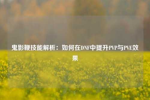 鬼影鞭技能解析：如何在DNF中提升PVP与PVE效果