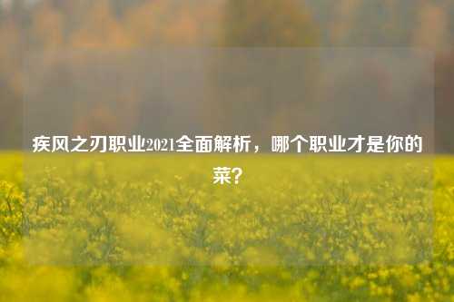 疾风之刃职业2021全面解析，哪个职业才是你的菜？