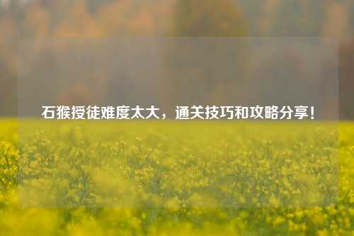 石猴授徒难度太大，通关技巧和攻略分享！