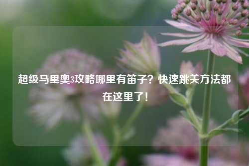 超级马里奥3攻略哪里有笛子？快速跳关方法都在这里了！