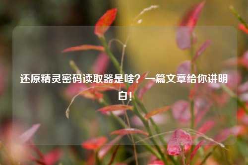 还原精灵密码读取器是啥？一篇文章给你讲明白！