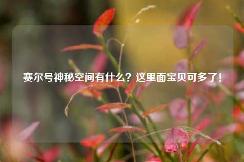 赛尔号神秘空间有什么？这里面宝贝可多了！