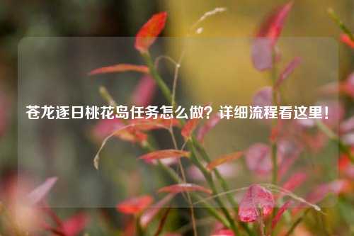 苍龙逐日桃花岛任务怎么做？详细流程看这里！