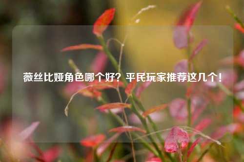 薇丝比娅角色哪个好？平民玩家推荐这几个！