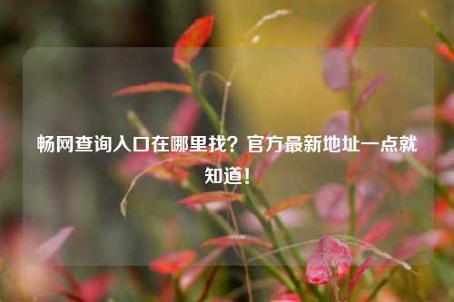 畅网查询入口在哪里找？官方最新地址一点就知道！