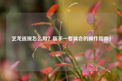 艺龙返现怎么用？新手一看就会的操作指南！