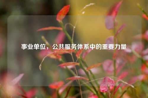 事业单位，公共服务体系中的重要力量