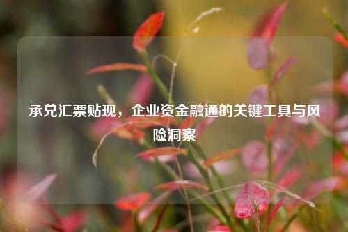 承兑汇票贴现，企业资金融通的关键工具与风险洞察
