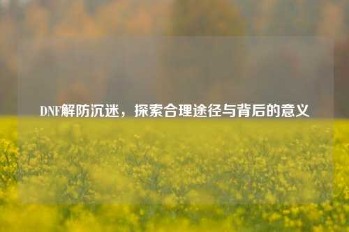 DNF解防沉迷，探索合理途径与背后的意义