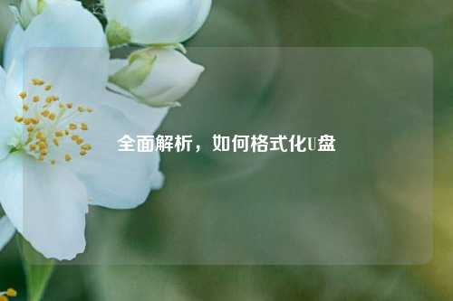 全面解析，如何格式化U盘