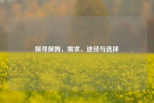探寻保姆，需求、途径与选择