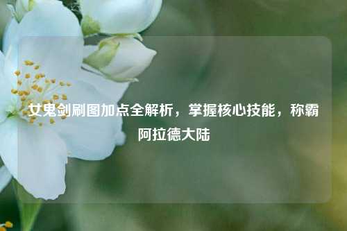 女鬼剑刷图加点全解析，掌握核心技能，称霸阿拉德大陆