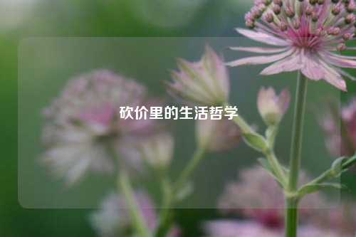 砍价里的生活哲学