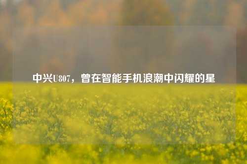 中兴U807，曾在智能手机浪潮中闪耀的星