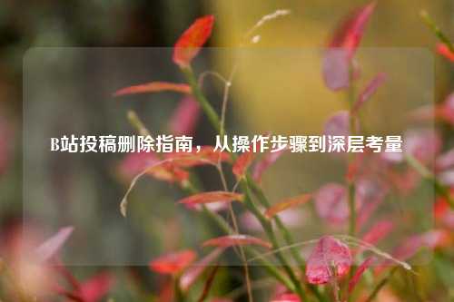 B站投稿删除指南，从操作步骤到深层考量
