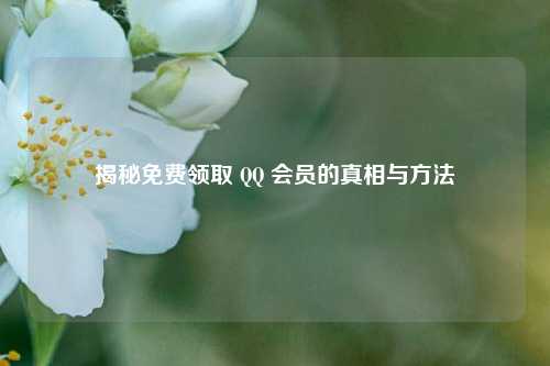 揭秘免费领取 QQ 会员的真相与方法