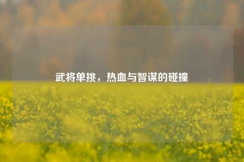 武将单挑，热血与智谋的碰撞