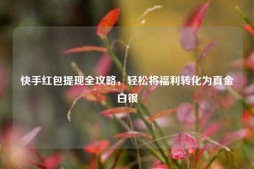 快手红包提现全攻略，轻松将福利转化为真金白银