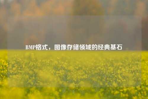 BMP格式，图像存储领域的经典基石