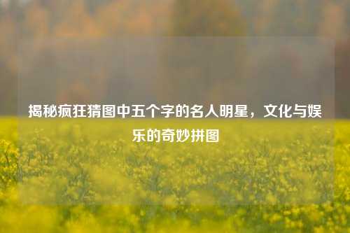 揭秘疯狂猜图中五个字的名人明星，文化与娱乐的奇妙拼图