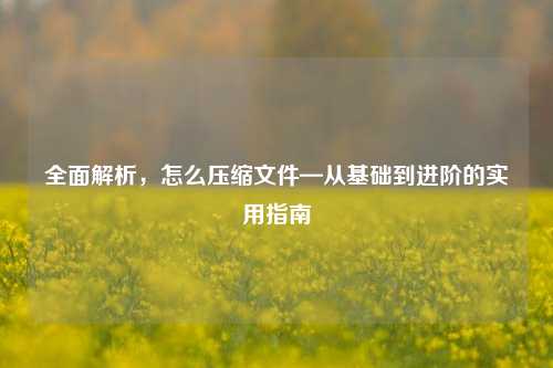 全面解析，怎么压缩文件—从基础到进阶的实用指南