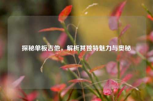 探秘单板吉他，解析其独特魅力与奥秘
