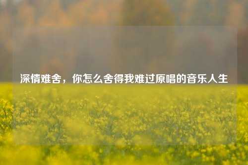 深情难舍，你怎么舍得我难过原唱的音乐人生