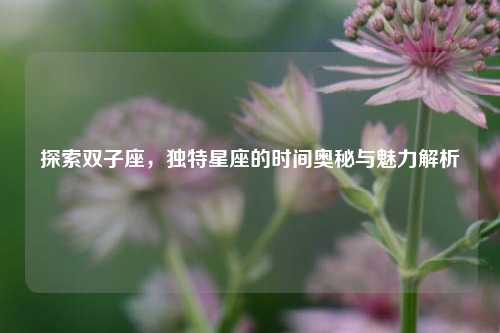 探索双子座，独特星座的时间奥秘与魅力解析