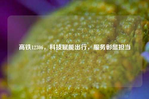 高铁12306，科技赋能出行，服务彰显担当