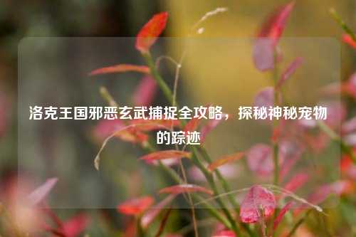 洛克王国邪恶玄武捕捉全攻略，探秘神秘宠物的踪迹