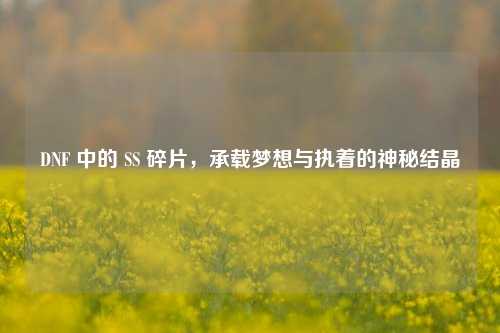 DNF 中的 SS 碎片，承载梦想与执着的神秘结晶