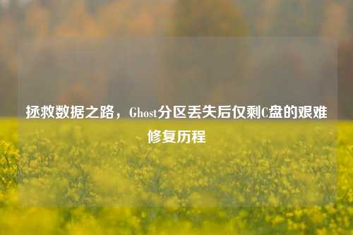 拯救数据之路，Ghost分区丢失后仅剩C盘的艰难修复历程