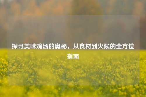 探寻美味鸡汤的奥秘，从食材到火候的全方位指南