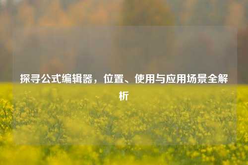 探寻公式编辑器，位置、使用与应用场景全解析