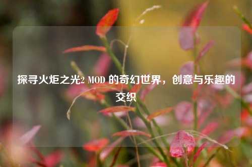 探寻火炬之光2 MOD 的奇幻世界，创意与乐趣的交织