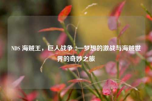 NDS 海贼王，巨人战争 2—梦想的激战与海贼世界的奇妙之旅