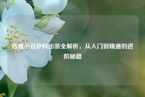 恶魔小丑萨科出装全解析，从入门到精通的进阶秘籍