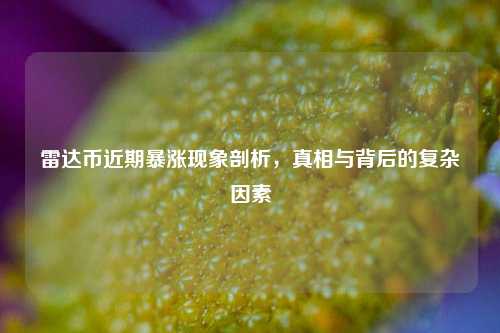 雷达币近期暴涨现象剖析，真相与背后的复杂因素