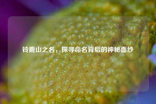 铃鹿山之名，探寻命名背后的神秘面纱