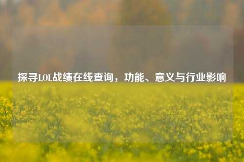 探寻LOL战绩在线查询，功能、意义与行业影响