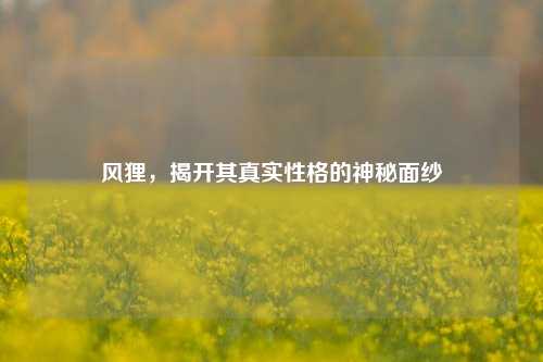 风狸，揭开其真实性格的神秘面纱
