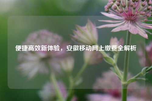 便捷高效新体验，安徽移动网上缴费全解析