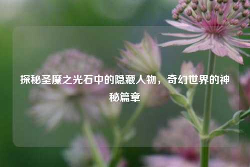探秘圣魔之光石中的隐藏人物，奇幻世界的神秘篇章