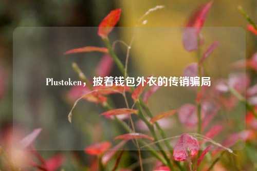 Plustoken，披着钱包外衣的传销骗局