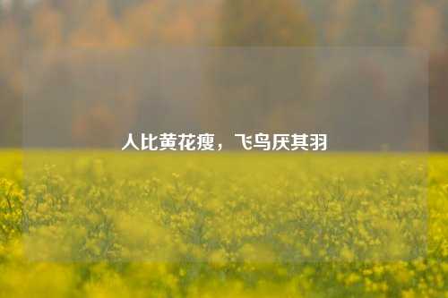 人比黄花瘦，飞鸟厌其羽