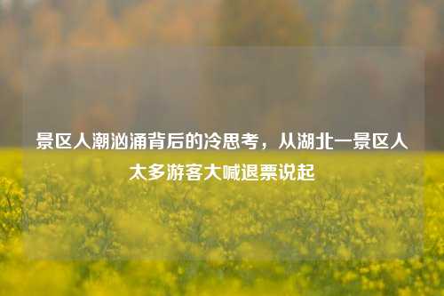 景区人潮汹涌背后的冷思考，从湖北一景区人太多游客大喊退票说起