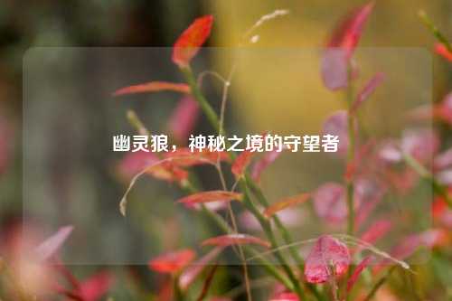 幽灵狼，神秘之境的守望者