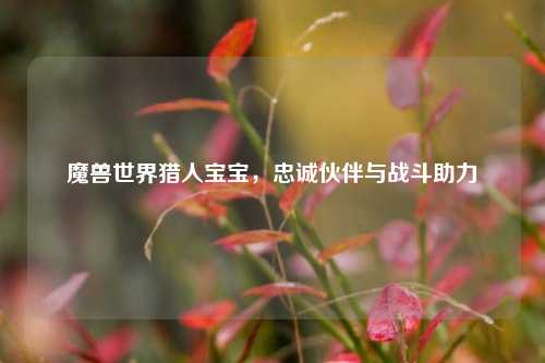 魔兽世界猎人宝宝，忠诚伙伴与战斗助力